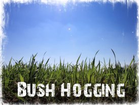 Bush Hogging in Virginia Beach, Chesapeake, Suffolk, Hampton Roads