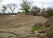 Virginia Beach Tree Clearing, Land Clearing